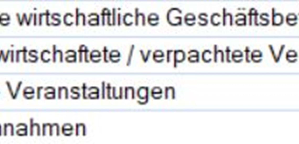 Der Wirtschaftliche Geschaftsbetrieb Im Verein