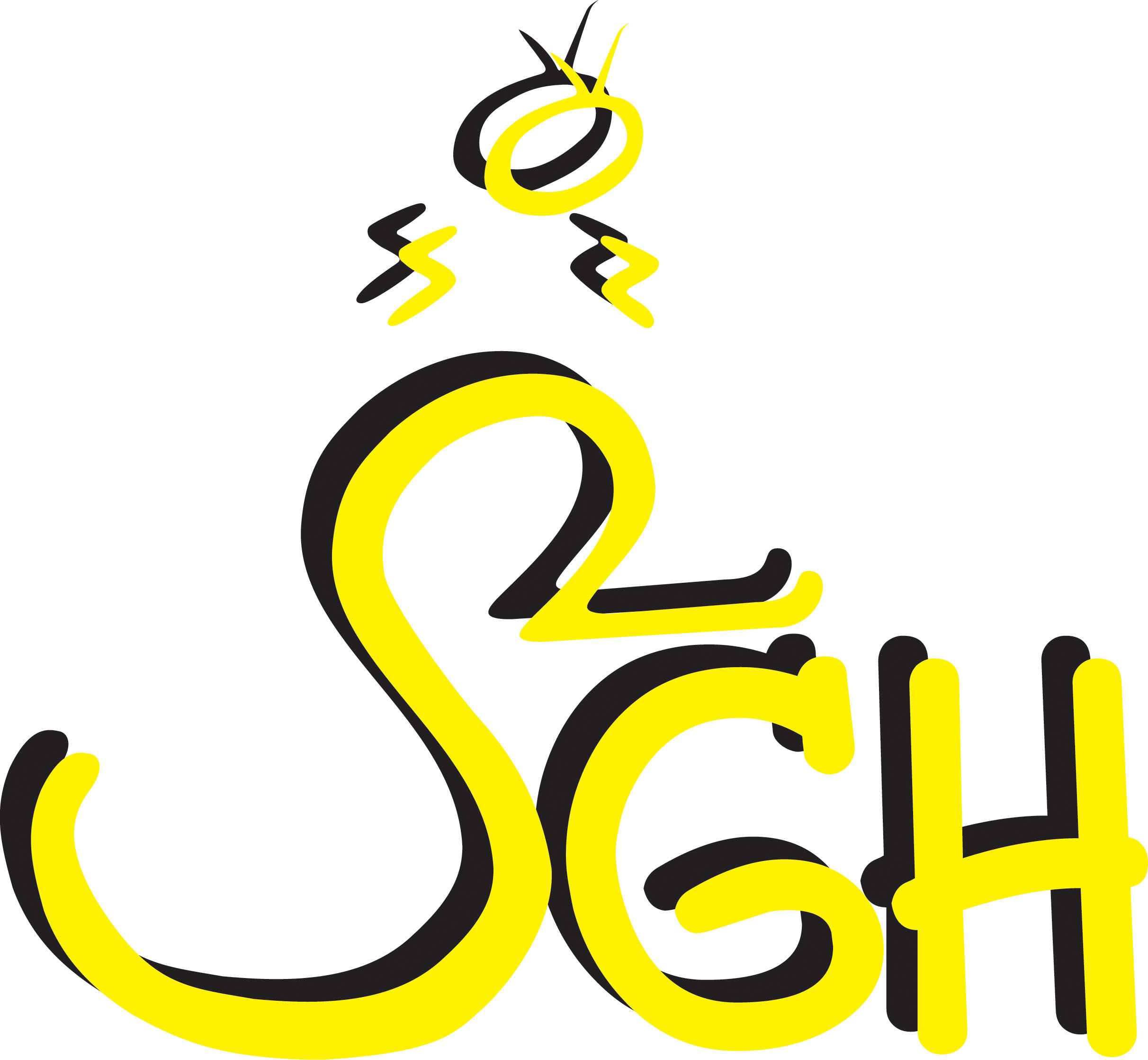 SPORTGRUPPE HOHENSCHAMBACH e.V. Logo