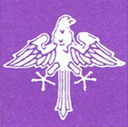 DJK Falke Nürnberg e.V. Logo